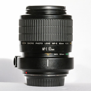 MP-E 65mm f/2.8 1-5x Macro Photo