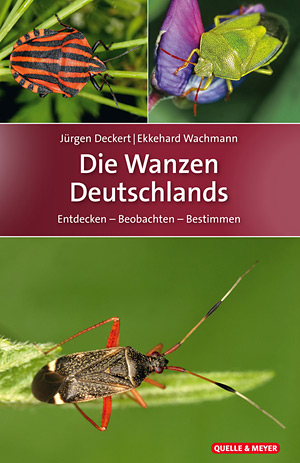 Die Wanzen Deutschland