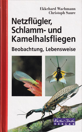 Netzfl&uuml;gler, Schlamm- und Kamelhalsfliegen