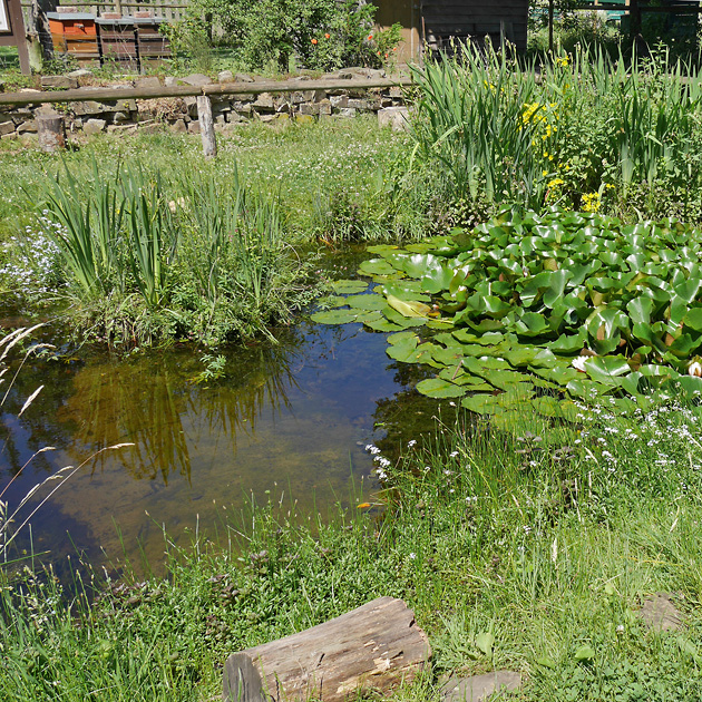 Bruthabitat Kleingew&auml;sser