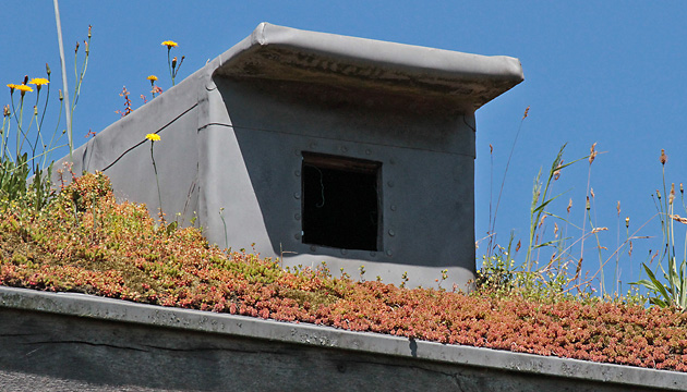 Turmfalken-Nistkasten