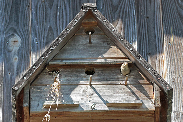 Zweist&ouml;ckiges Spatzenhaus