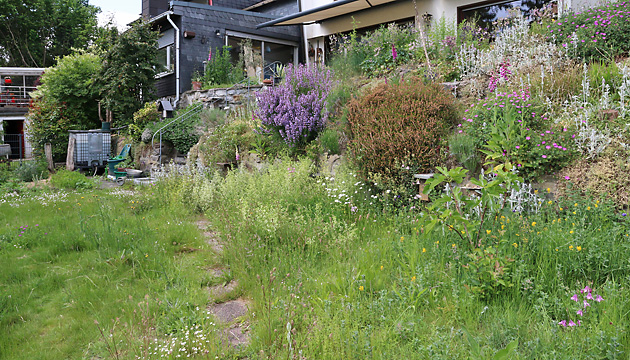 Wiese 1 (17.5.2025) Wiese 2