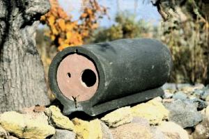 Strobel: Steinkauznistr&ouml;hre